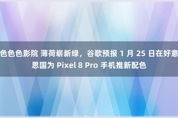 色色色影院 薄荷崭新绿，谷歌预报 1 月 25 日在好意思国为 Pixel 8 Pro 手机推新配色