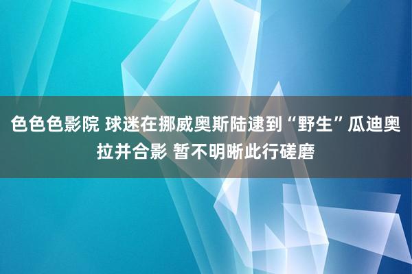 色色色影院 球迷在挪威奥斯陆逮到“野生”瓜迪奥拉并合影 暂不明晰此行磋磨