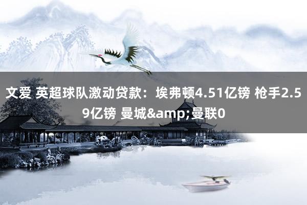 文爱 英超球队激动贷款：埃弗顿4.51亿镑 枪手2.59亿镑 曼城&曼联0