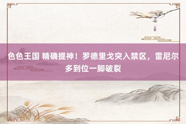 色色王国 精确提神！罗德里戈突入禁区，雷尼尔多到位一脚破裂