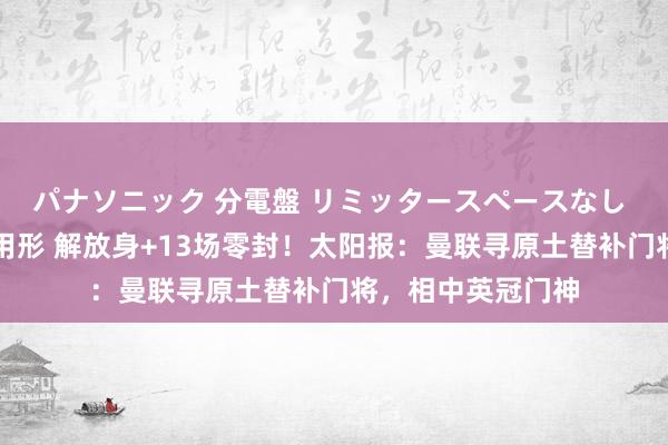 パナソニック 分電盤 リミッタースペースなし 露出・半埋込両用形 解放身+13场零封！太阳报：曼联寻原土替补门将，相中英冠门神